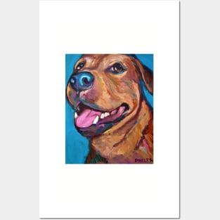 Bruno the BLUE NOSE PITBULL Posters and Art